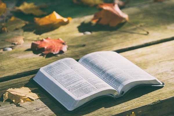 The Power of Proclaiming God's Word
